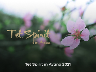 Tet Spirit in Avana 2021